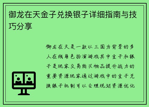 御龙在天金子兑换银子详细指南与技巧分享
