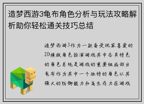 造梦西游3龟布角色分析与玩法攻略解析助你轻松通关技巧总结